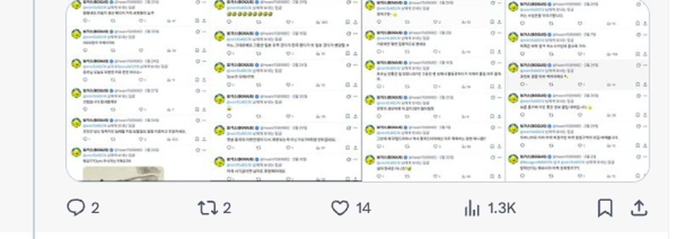 캡처 D-2 콜라주 확대
